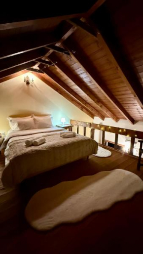 Cozy Nest Parnassos